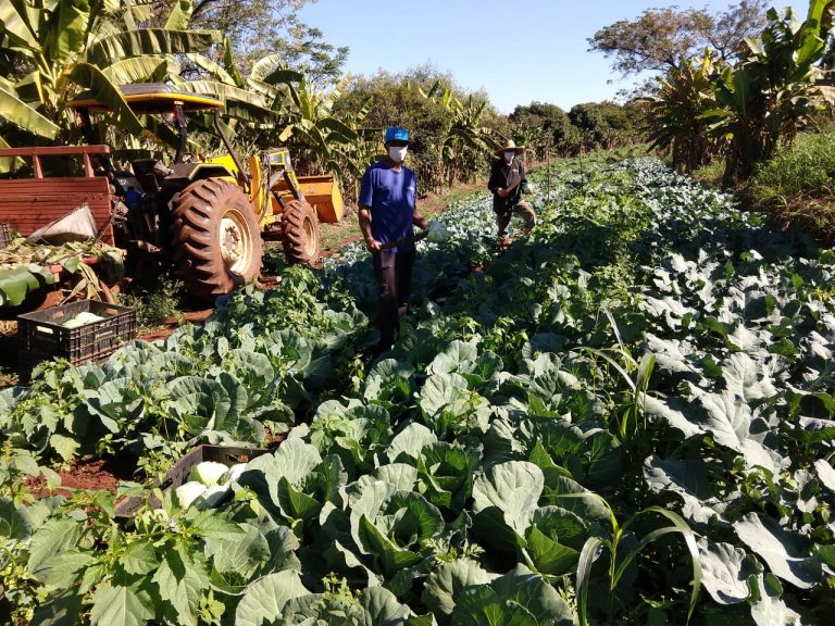 Ação distribui 90 toneladas de alimentos e incentiva a agricultura familiar local
