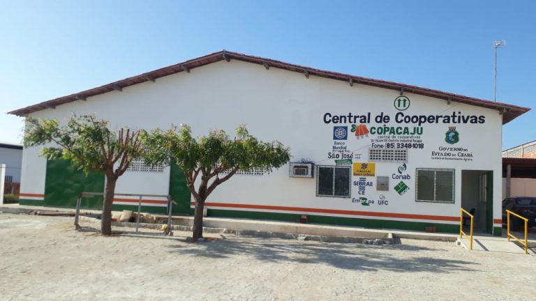 DE OLHO NO FUTURO, COPACAJU PRODUZ ATÉ 10 TON. DE CASTANHAS POR ANO