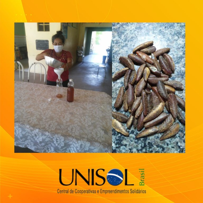 MULHERES RURAIS INCREMENTAM RENDA COM A PRODUÇÃO DE AZEITE DE COCO BABAÇU NO PIAUÍ