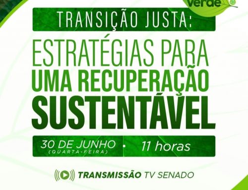 Seminário “Transição Justa: Estratégias Para Uma Recuperação Sustentável”.