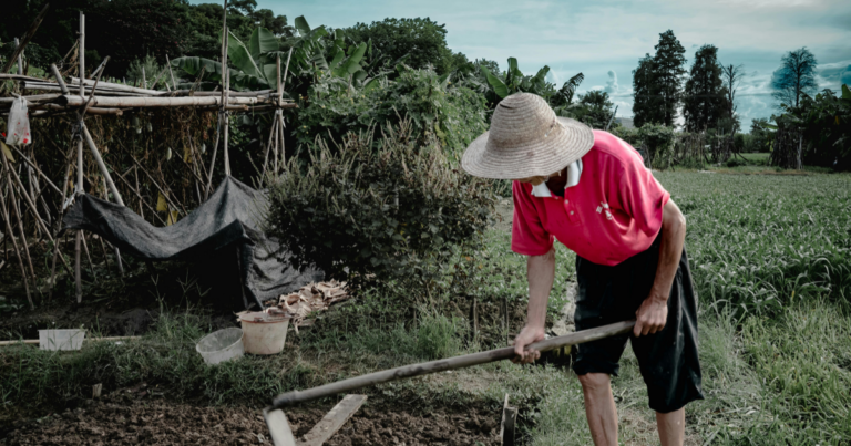 Agricultura Familiar: a força do Brasil